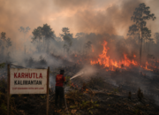 Kabut Asap Karhutla Kembali Kepung Kalimantan: Kualitas Udara Menurun dan Aktivitas Warga Terganggu