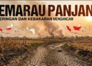 Kemarau Panjang Belum Berakhir, Kekeringan dan Kebakaran Mengancam Sejumlah Wilayah Indonesia