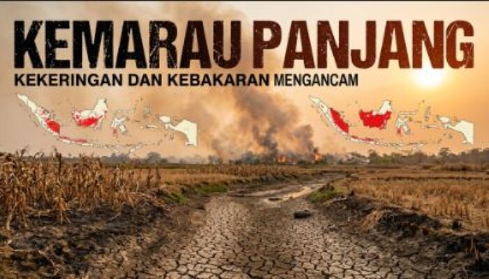 Kemarau Panjang Belum Berakhir, Kekeringan dan Kebakaran Mengancam Sejumlah Wilayah Indonesia