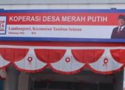 Bukan Rp 16 Juta, Pemerintah Tetapkan Gaji Manajer Kopdes Berkisar Rp 6,8 Juta-Rp 8,3 Juta