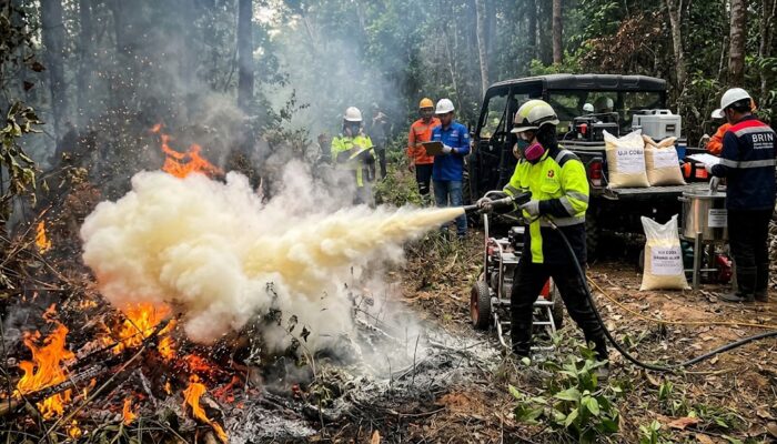BRIN Siap Uji Coba Tepung Singkong untuk Padamkan Kebakaran Hutan