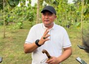 Tanpa Gunakan APBD, Pemkab Bogor Gandeng Swasta Bangun Kebun Binatang Mini di Hutan Kota Pakansari