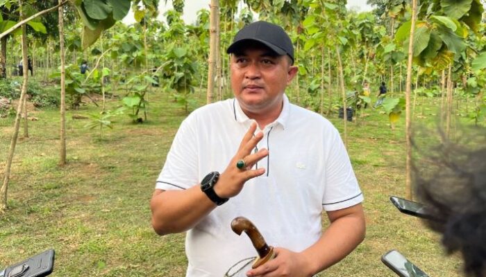 Tanpa Gunakan APBD, Pemkab Bogor Gandeng Swasta Bangun Kebun Binatang Mini di Hutan Kota Pakansari